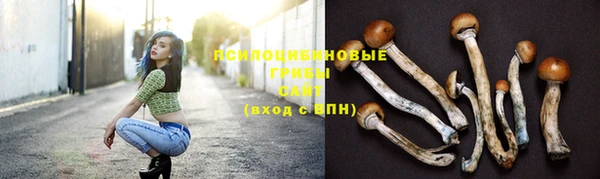 соль ск Верхний Тагил