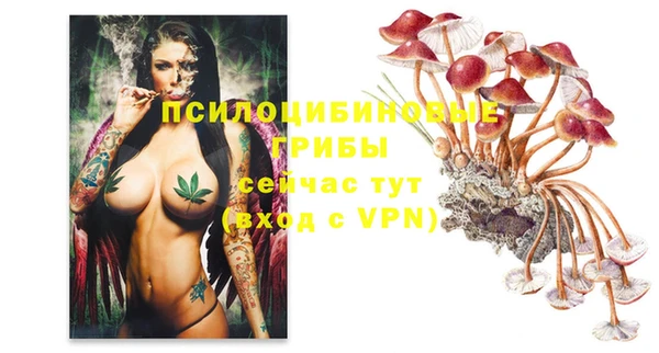 трава Володарск