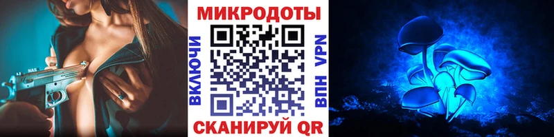 Псилоцибиновые грибы Psilocybine cubensis  Киров 
